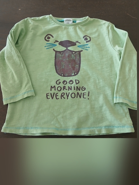 Zara Other - Zara Boy's Green Graphic Cotton Top 18-24 Months Long Sleeved